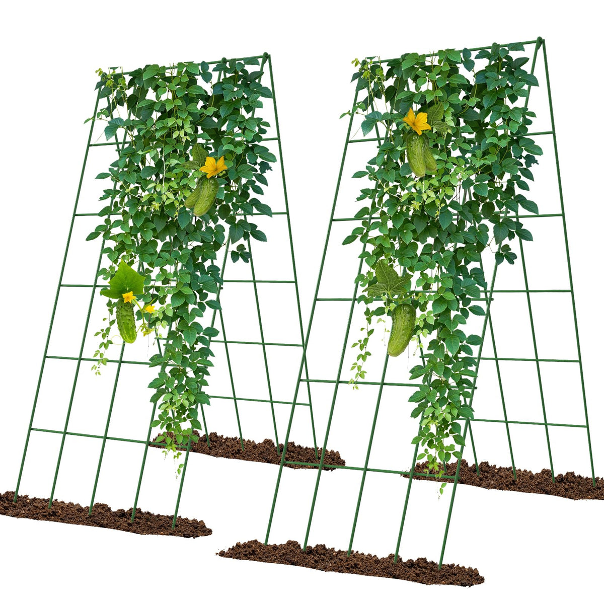 UrGROWA cucumber trellis foldable A-frame supports climbing plants