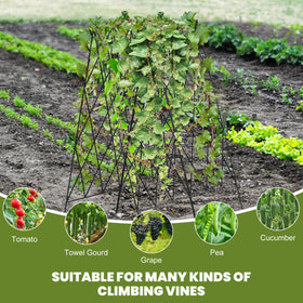UrGROWA Cucumber Trellis two-pack connection demonstrates expanded width for larger beds
