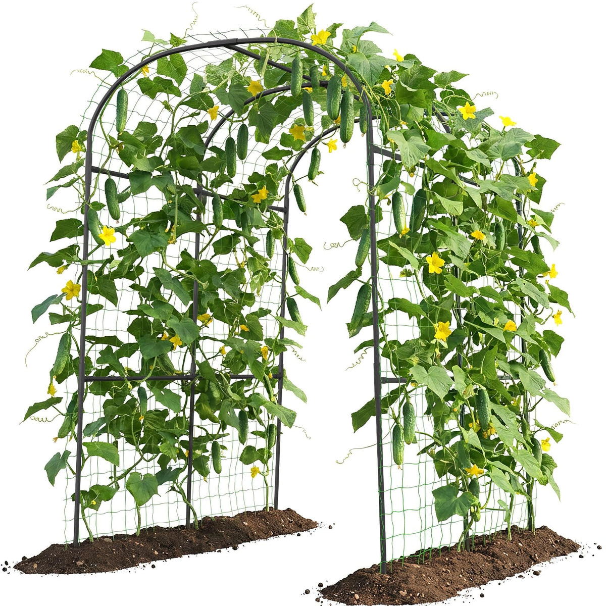 UrGROWA tall garden arch 83in provides vertical space for climbing plants.