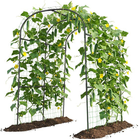 UrGROWA tall garden arch 83in provides vertical space for climbing plants.