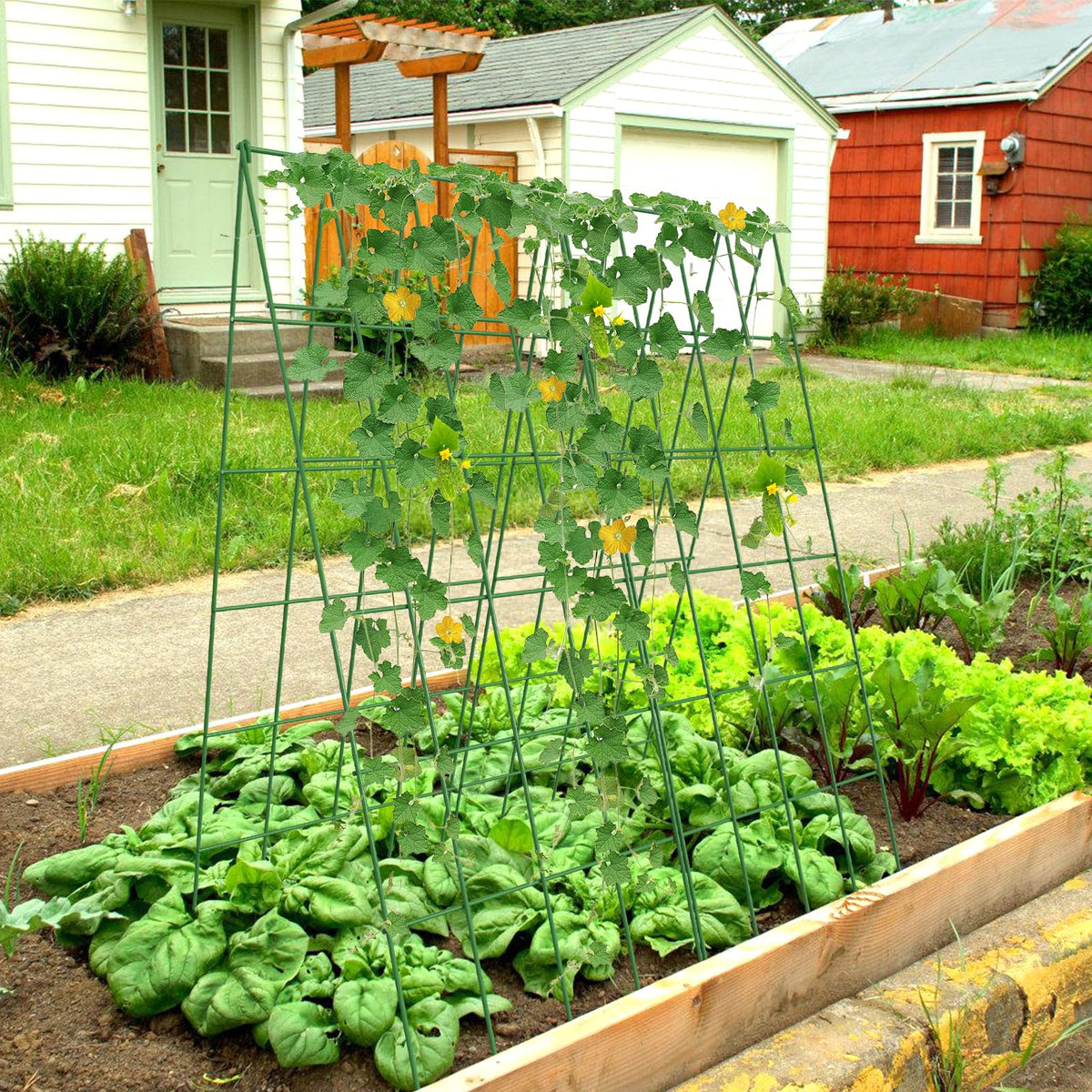 UrGROWA two-pack trellis setup demonstrates free-standing garden support