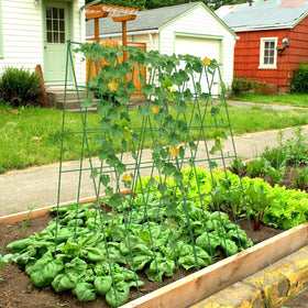 UrGROWA two-pack trellis setup demonstrates free-standing garden support