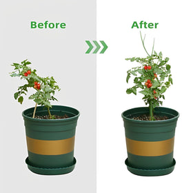 USEDGDIG indoor-outdoor trellis keeps plants upright and thriving.