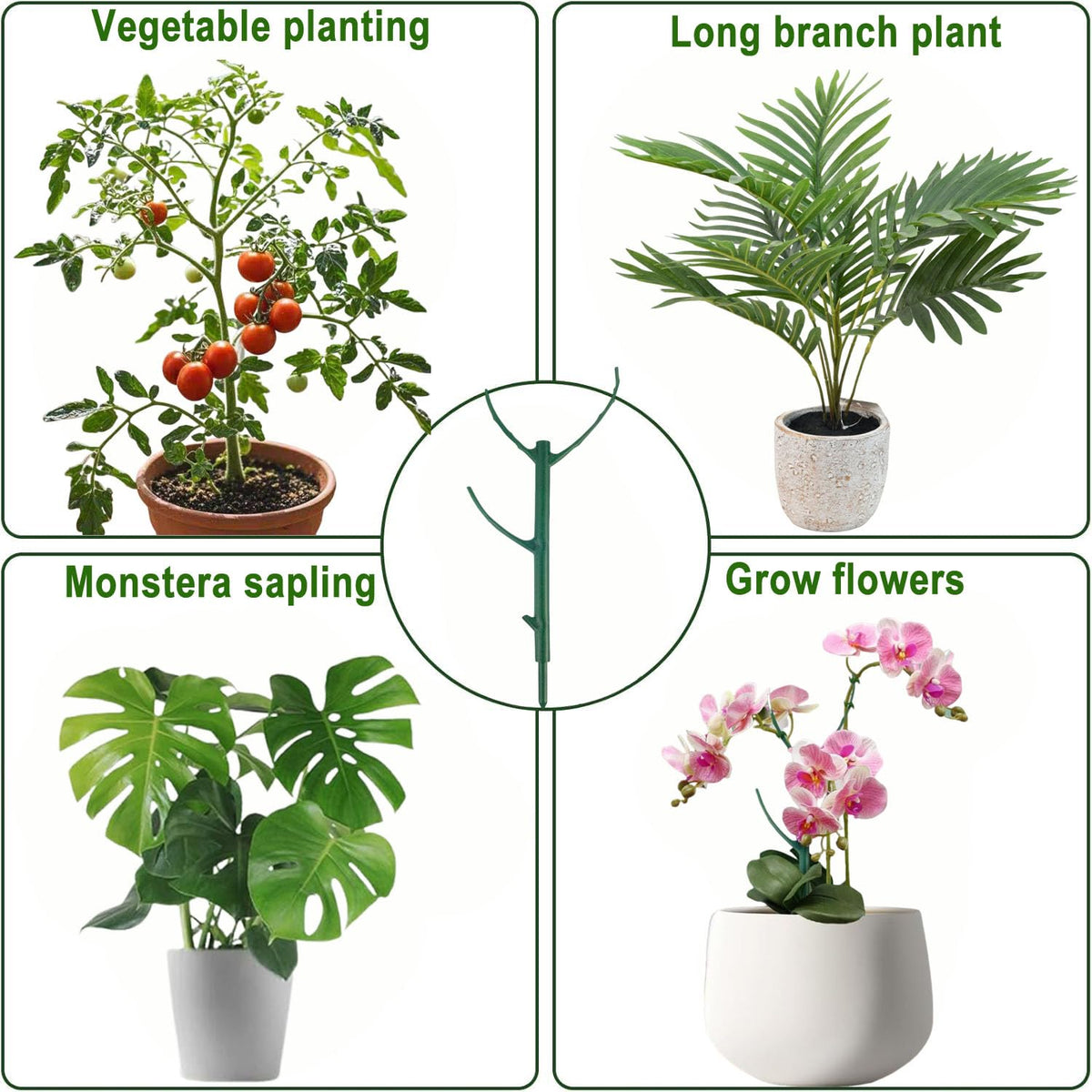 USEDGDIG monstera-friendly stake supports climbing stems and prevents droop.