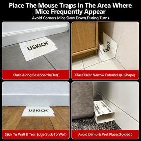 USKICH indoor glue traps in multiple rooms demonstrate wide coverage.