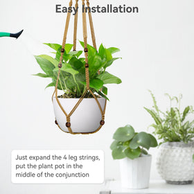 USLAI two-pack hanger enables space-saving vertical plant arrangements