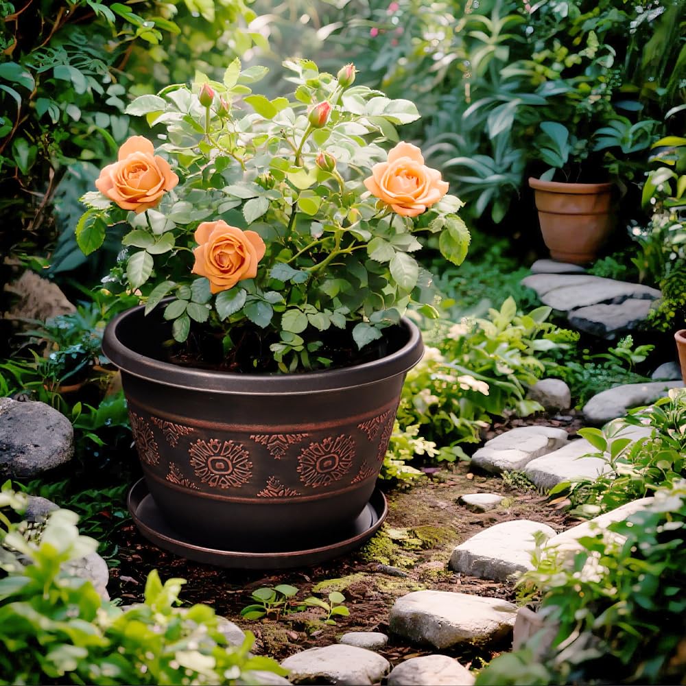 Usocik 8 inch planter with drainage holes and saucer, easy to reuse season after season.