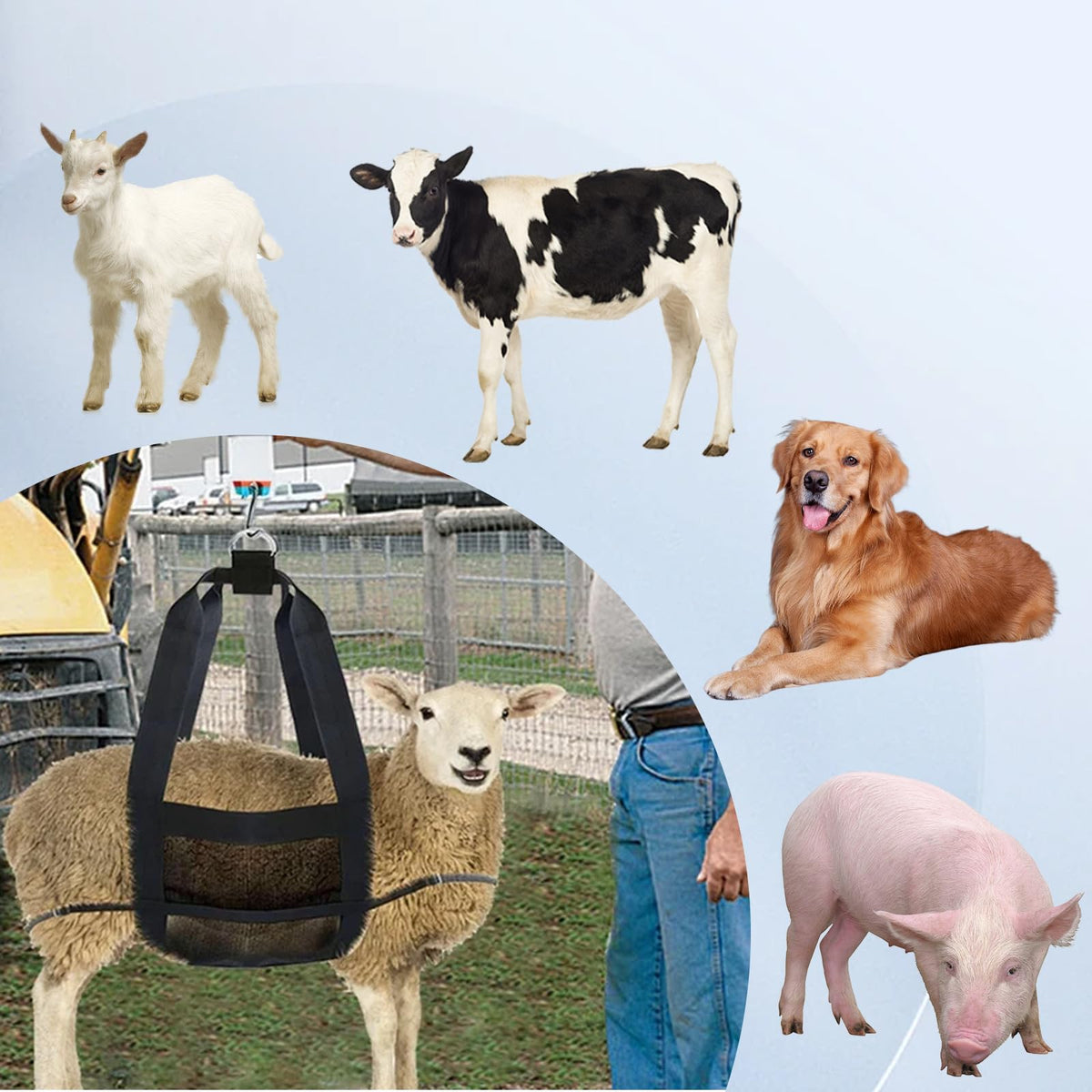 USUNFARM Calf Sling easy-cleaning design stays ready for daily use