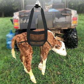 USUNFARM Calf Sling supports multi-use from weighing to grooming