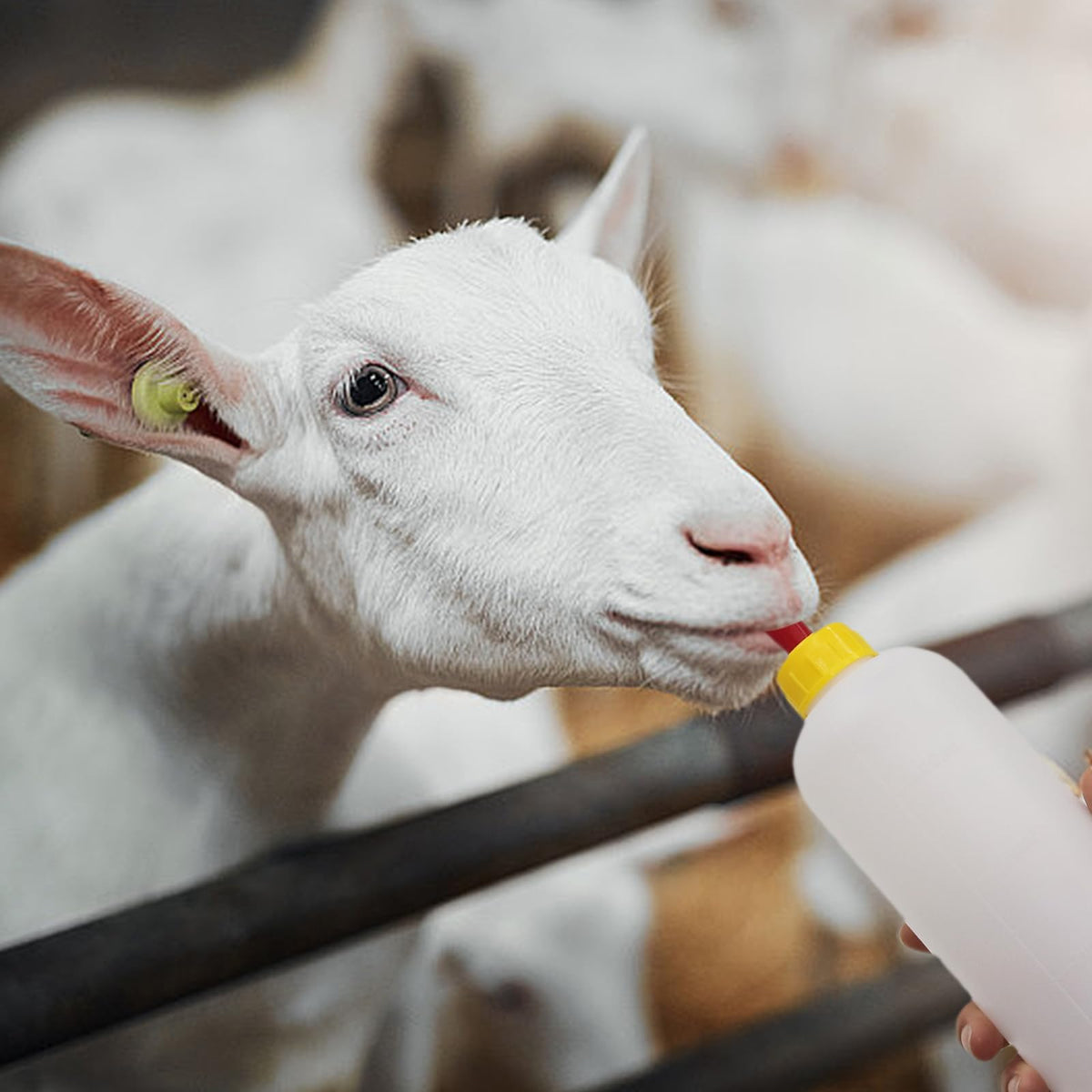 USUNFARM multi-animal compatibility for goats, lambs, piglets and calves