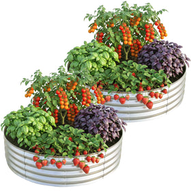 Utopia Home galvanized raised bed in 2x2x1 ft for balcony gardening.
