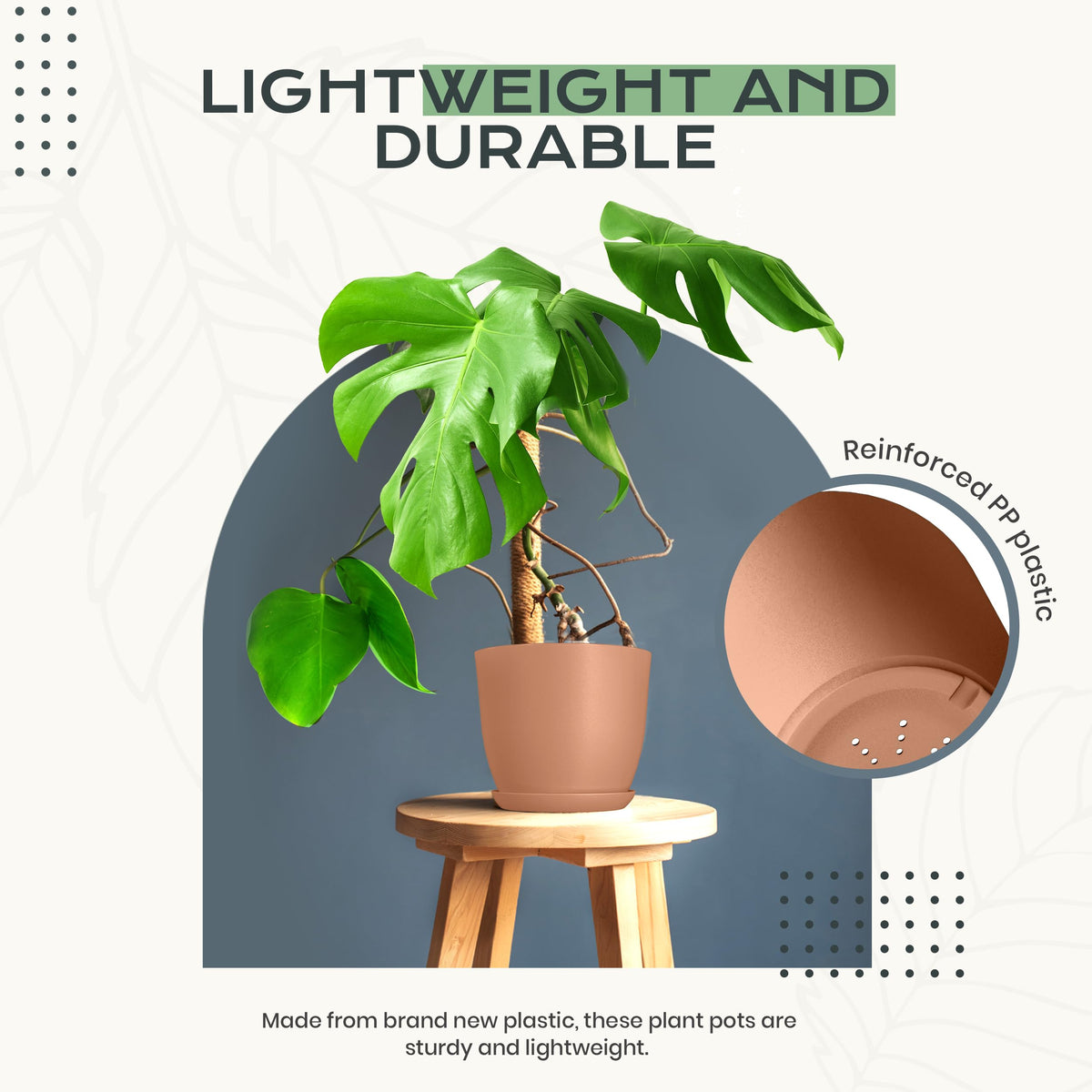 Utopia Home matching saucers for tidy, mess-free plant setups.