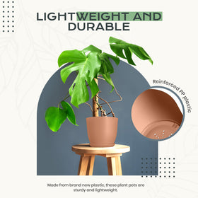 Utopia Home matching saucers for tidy, mess-free plant setups.