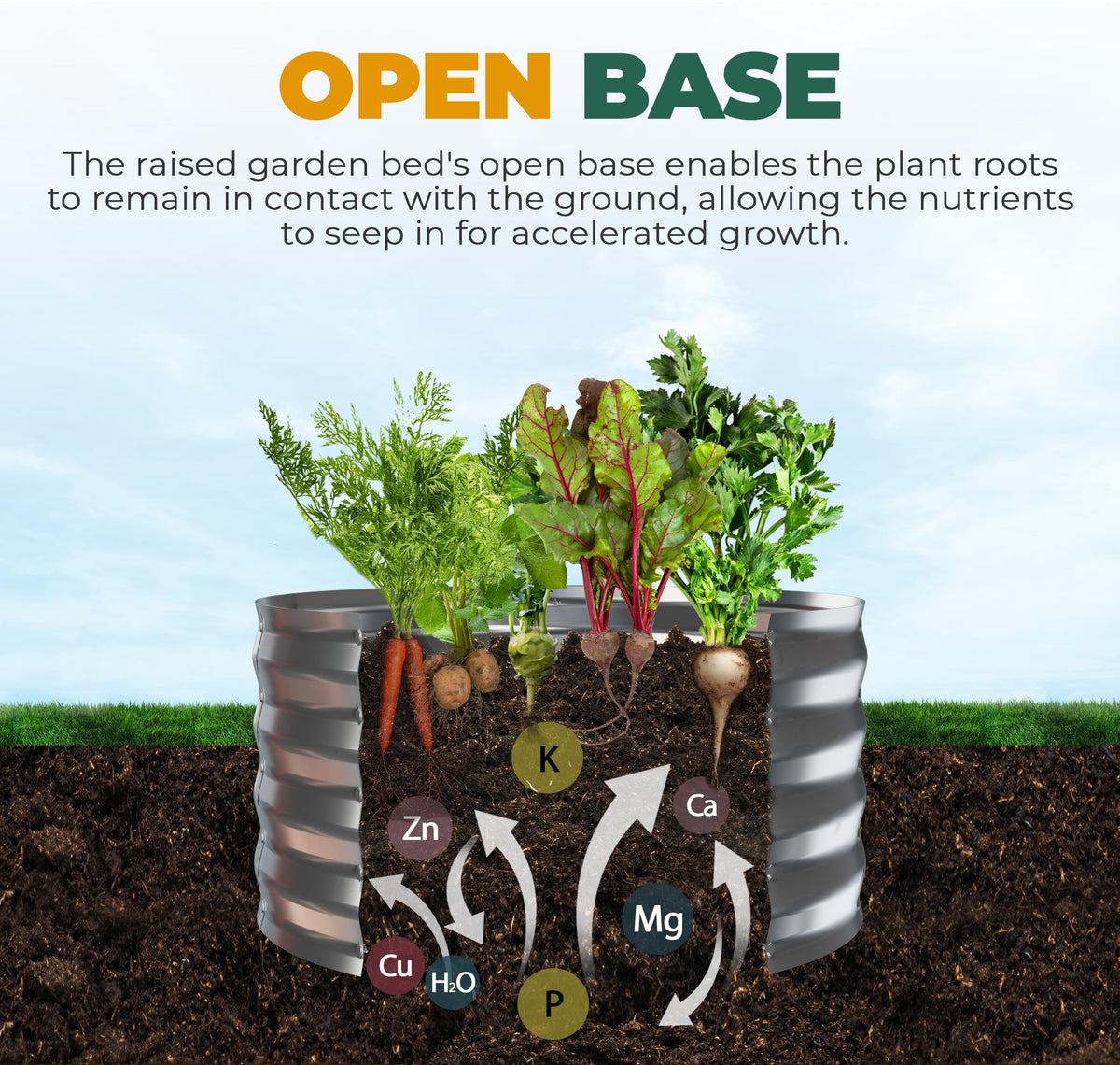 Open base design promotes drainage for healthier root growth.