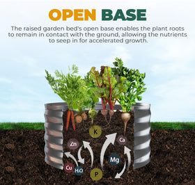 Open base design promotes drainage for healthier root growth.