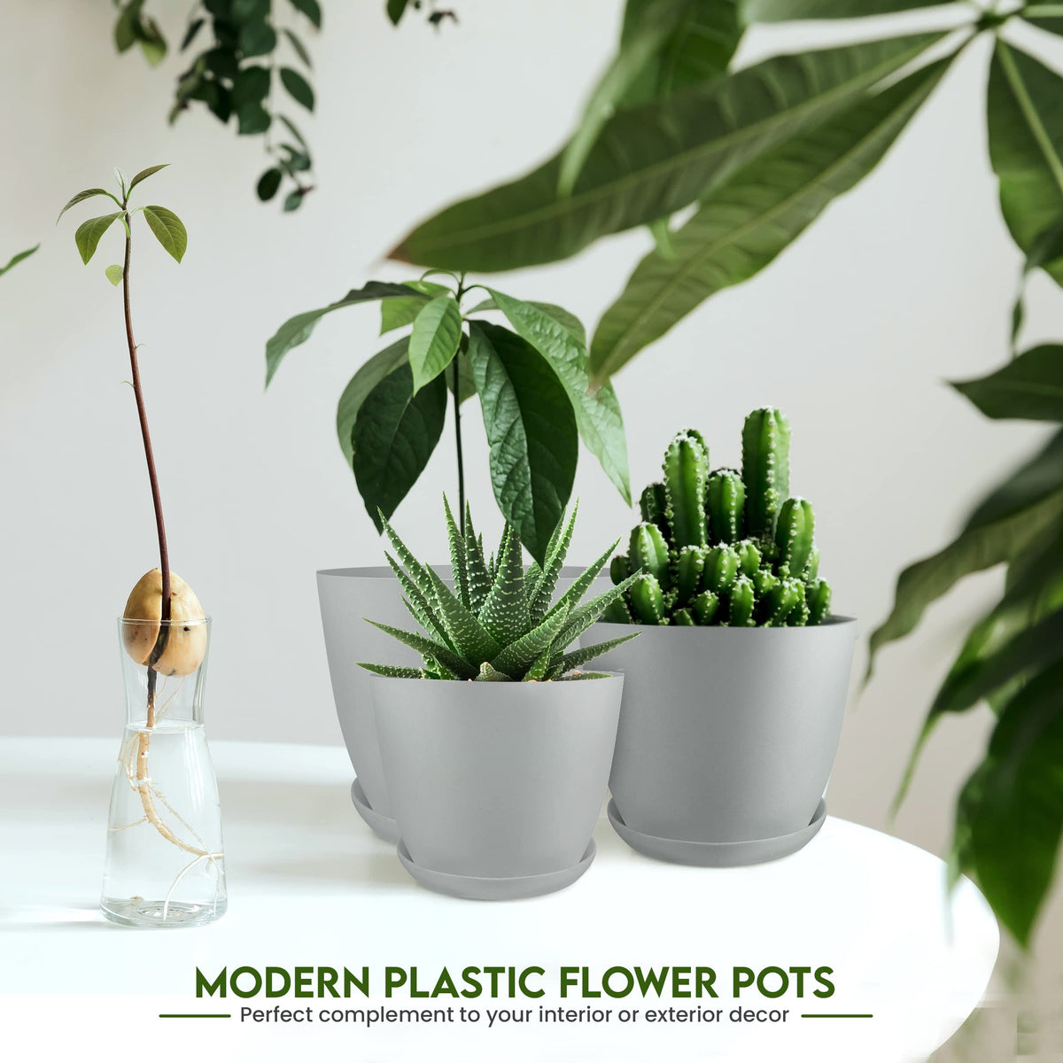 Utopia Home 4.8-inch gray plant pot with drainage for small spaces