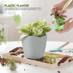Utopia Home 5.3-inch gray plant pot with drainage for desks