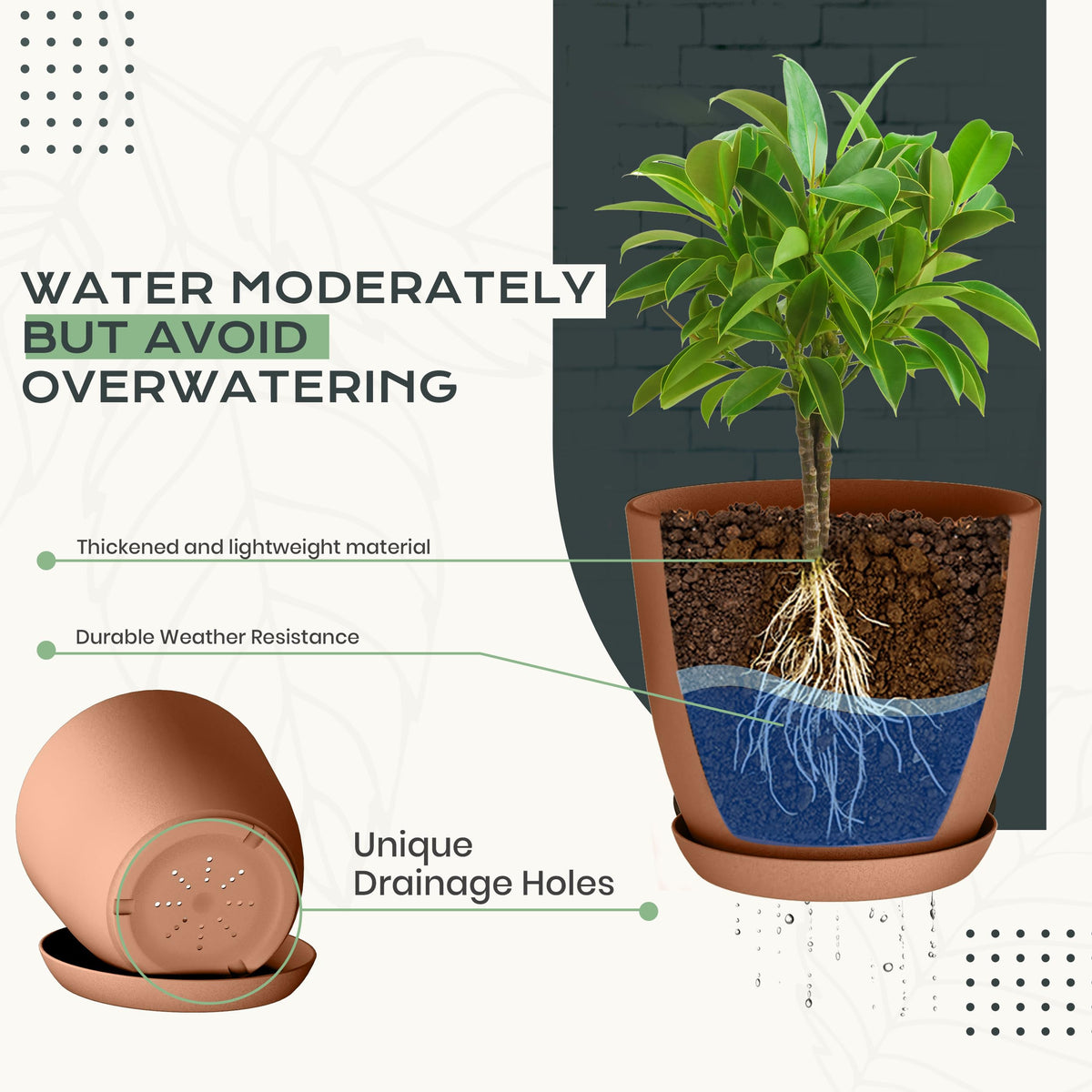 Utopia Home 6-inch plant pot with drainage supports vibrant indoor greenery.