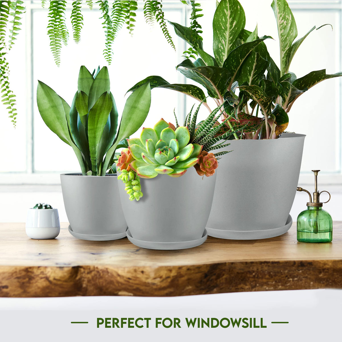 Utopia Home matching gray pot saucers protect surfaces