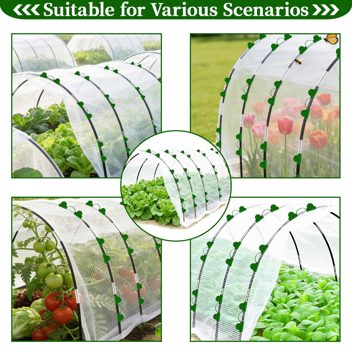 UTOUMON black arch garden frame helps distinguish plant zones while shielding crops.