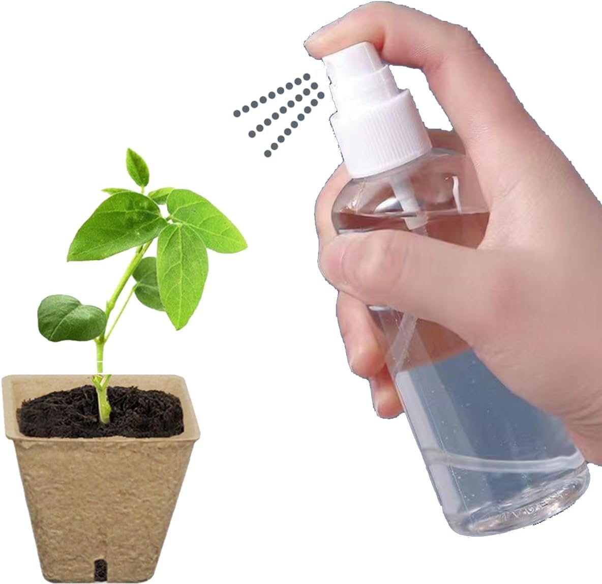 UTYLNE seed starter kit garden tools ready for transplanting