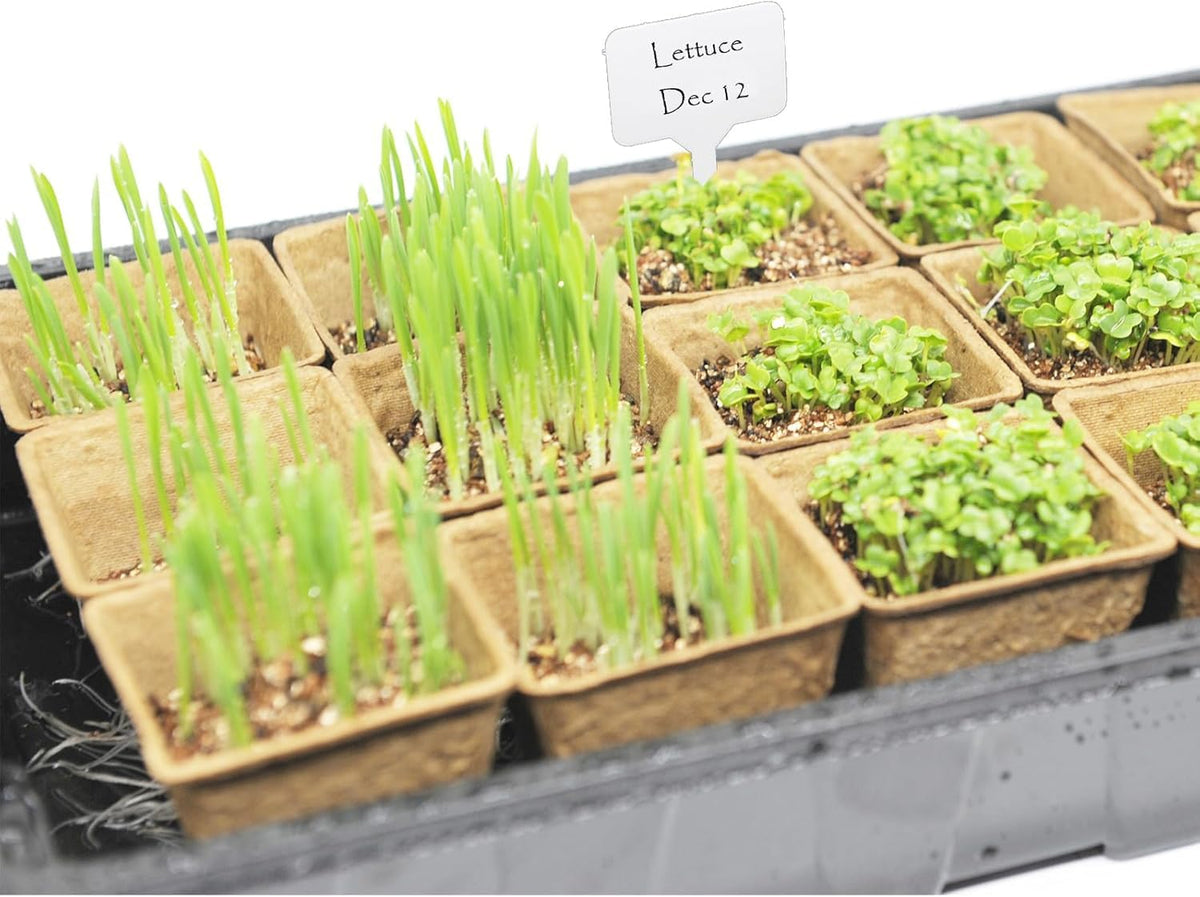 UTYLNE seed starter kit humidity dome controlling moisture