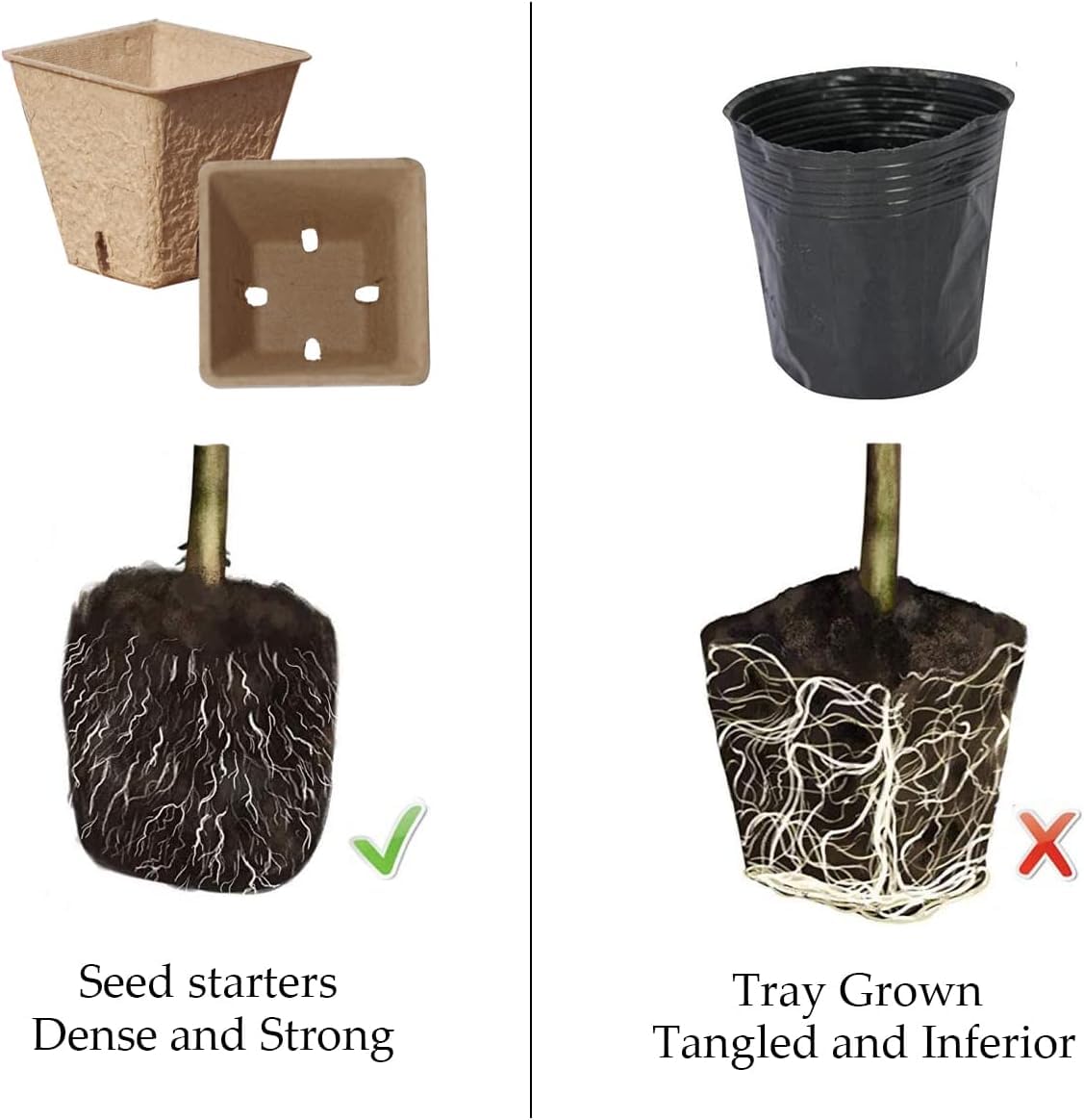 UTYLNE seed starter kit seed trays arranged for seed sowing