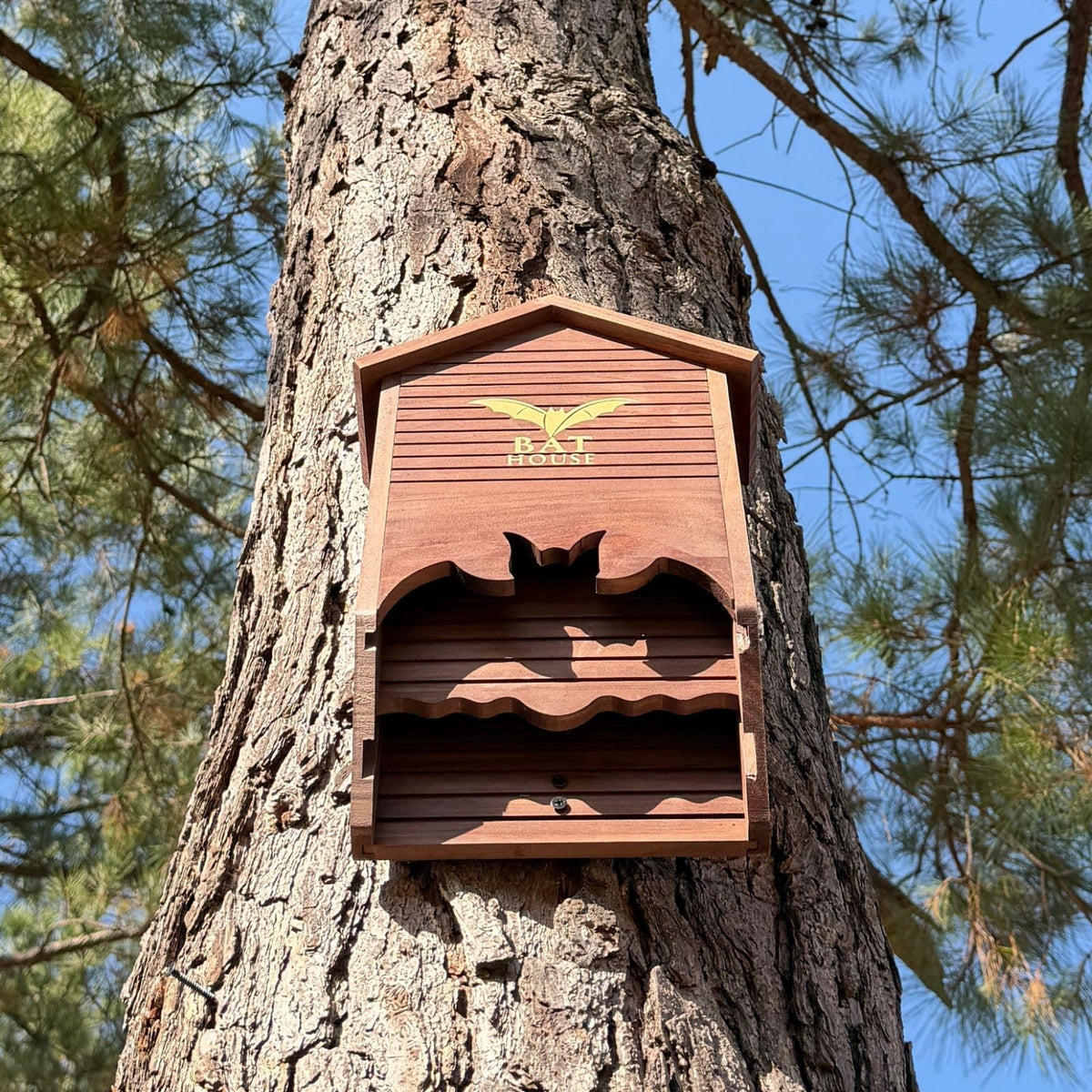 UvasDulces backyard habitat image emphasizes eco-friendly bat shelter.