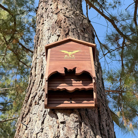 UvasDulces backyard habitat image emphasizes eco-friendly bat shelter.