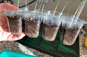 UWIOFF included accessories like plant labels and tools simplify seedling setup