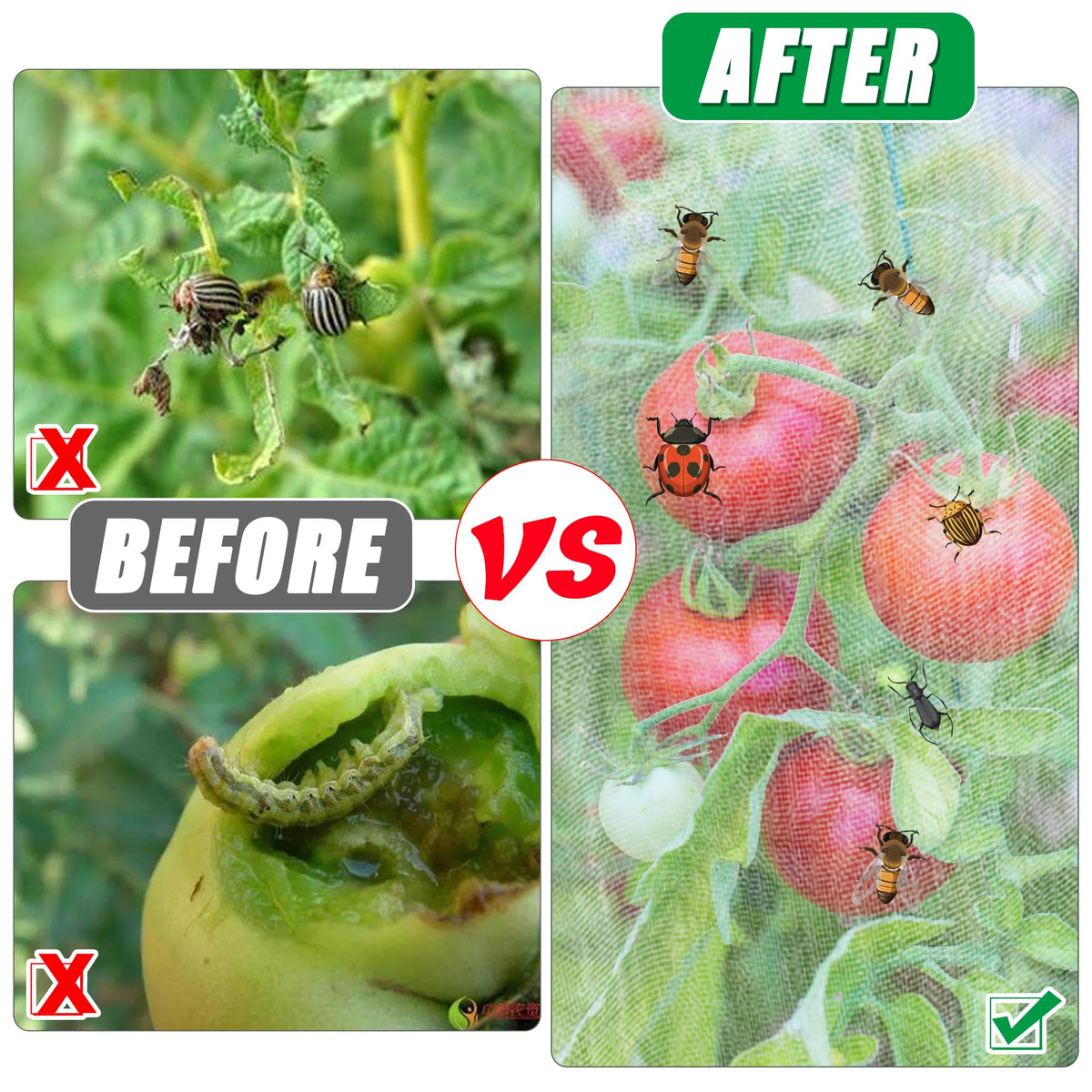 UYEDUJZ garden netting protects roses and tomatoes while allowing sun and air