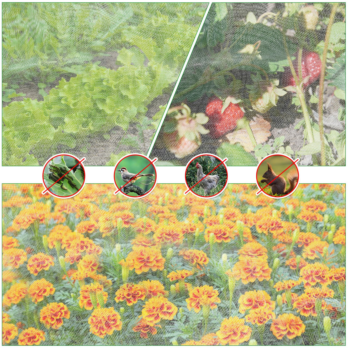 UYEDUJZ raised-bed pest barrier netting protecting crops
