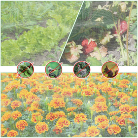 UYEDUJZ raised-bed pest barrier netting protecting crops