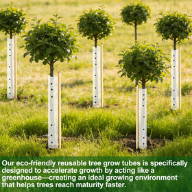 Uyeesi deer-and-rodent protection sleeve supports healthy orchard plantings.
