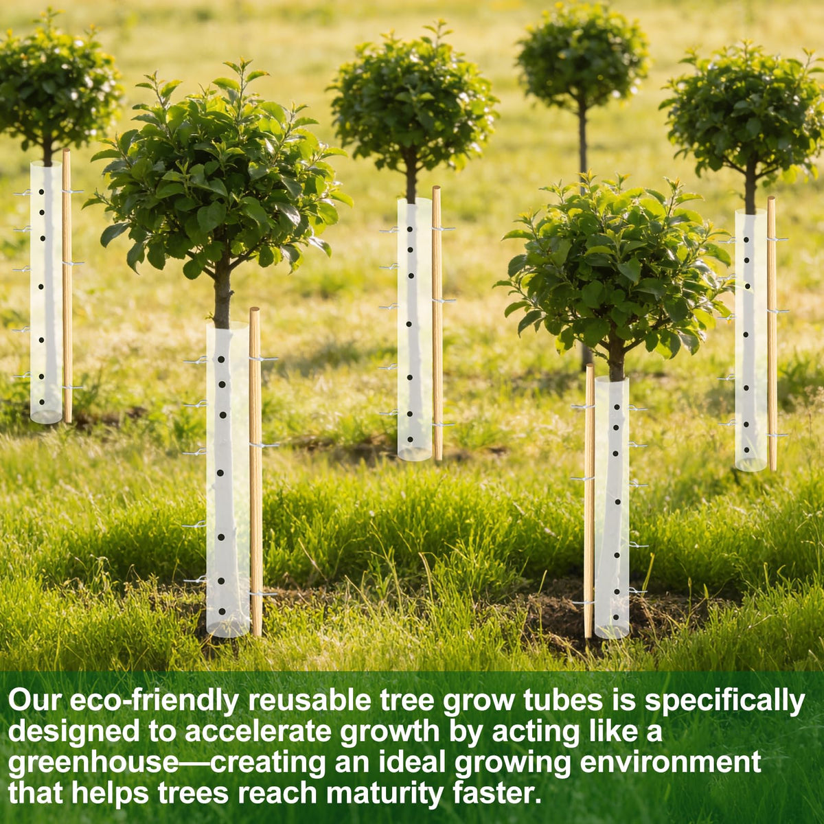 Uyeesi ventilated seedling tubes provide airflow