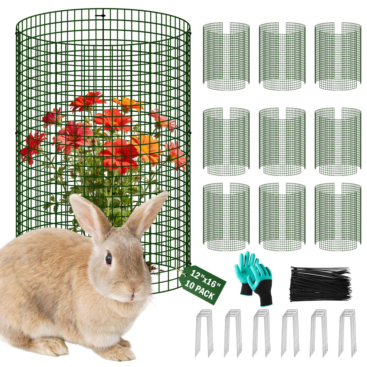 Uyittour plant protector 12x16 cylinder shields flowers from rabbits and pests