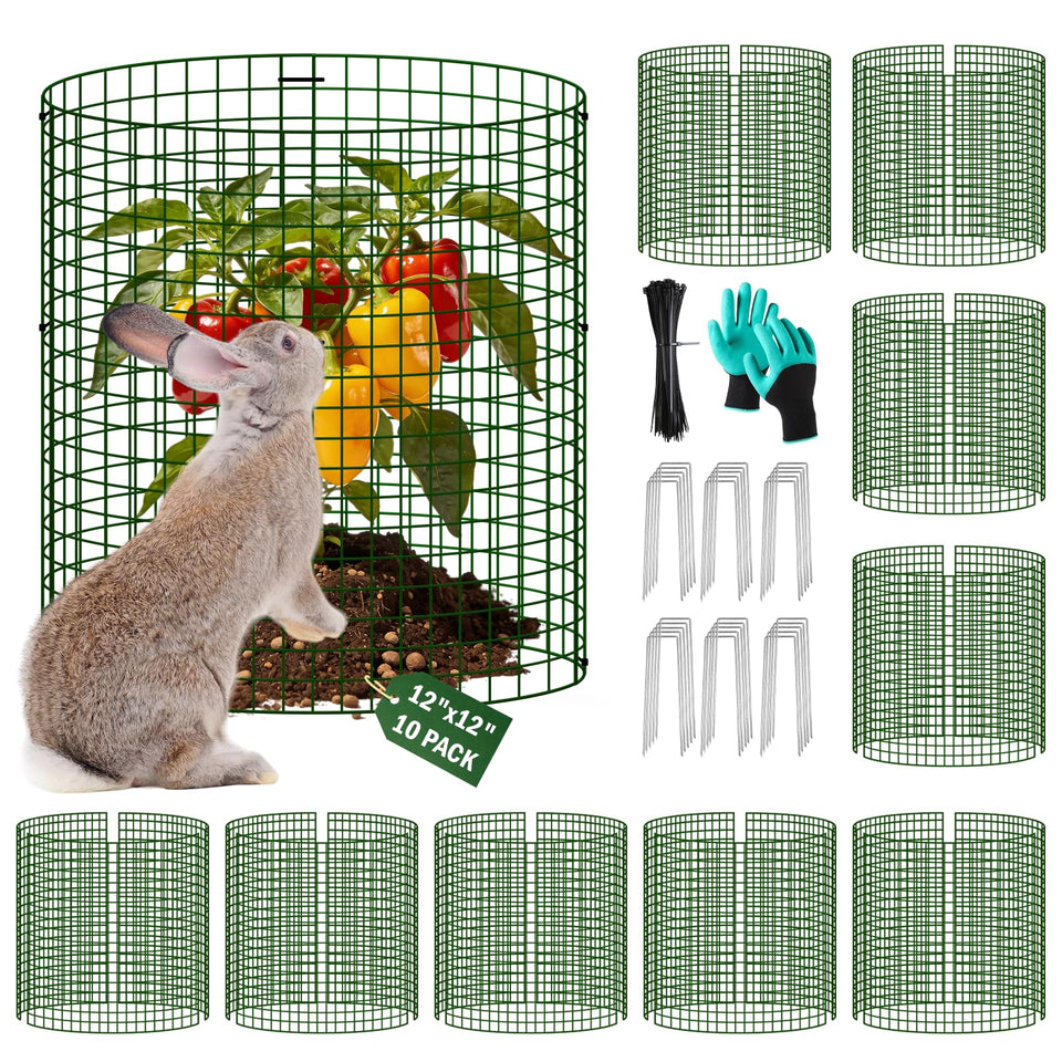 Uyittour round wire plant cage protects 12x12 beds from pests.