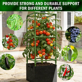 Uyittour versatile setup for patios, balconies, and greenhouses with upright growth.
