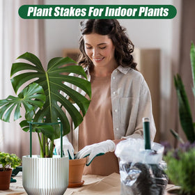 Uzoli supports keeping tomatoes and flowers tidy and directed for growth