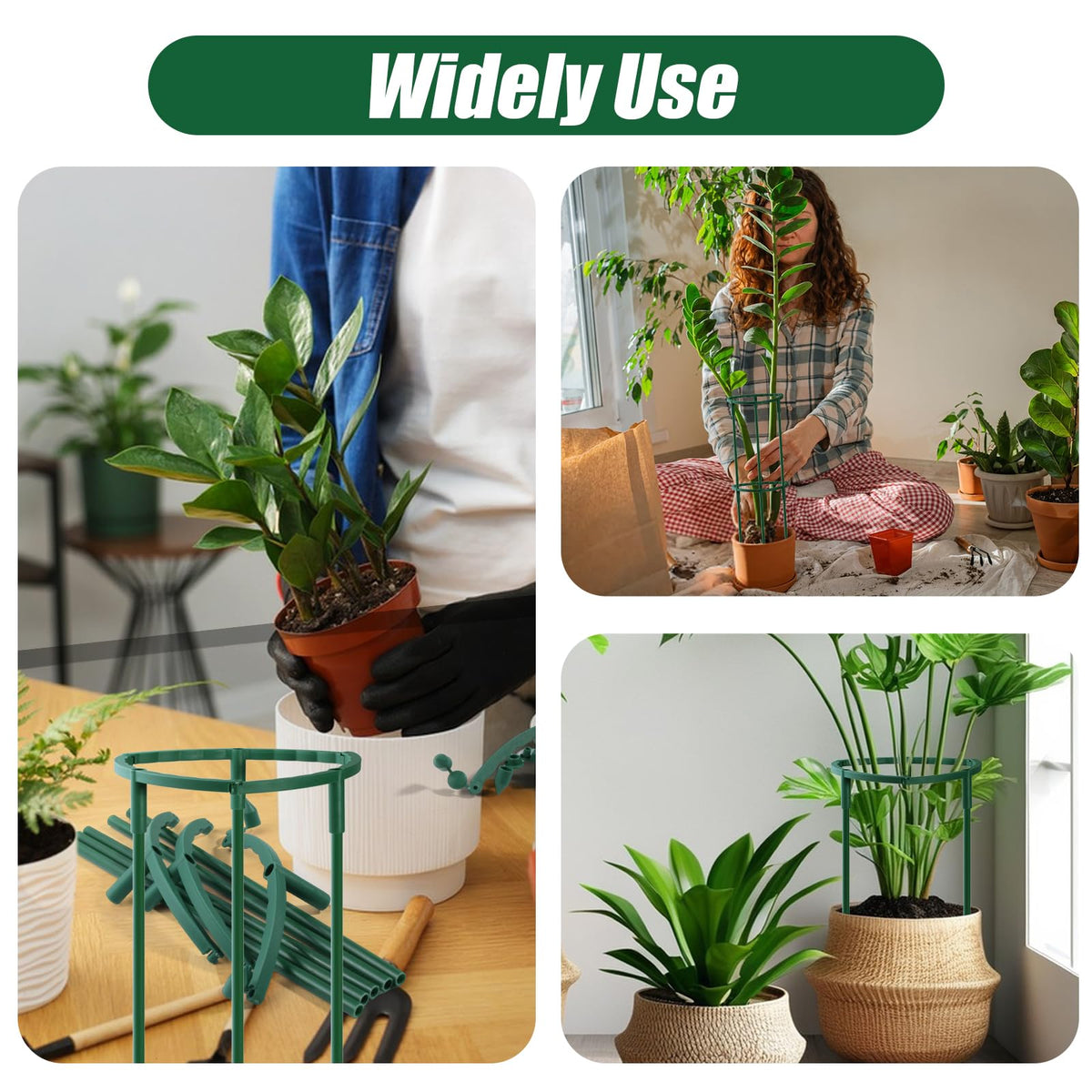 Uzoli versatile stakes suitable for indoor and outdoor climbing plants