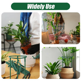 Uzoli versatile stakes suitable for indoor and outdoor climbing plants