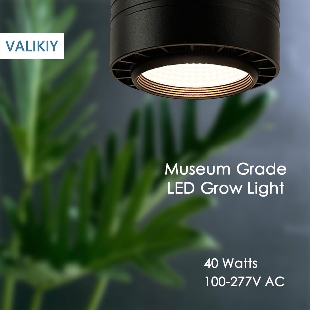 VALIKIY 40W pendant light with timer enables hands-free daily plant care
