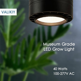 VALIKIY 40W pendant light with timer enables hands-free daily plant care