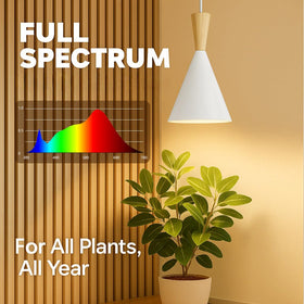 VALIKIY timer-equipped grow light enables convenient daily light cycles for herbs.
