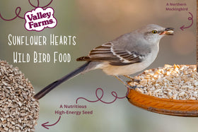Valley Farms 8lb pack – generous value for outdoor bird stations.