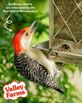 Valley Farms clean seed delivery – minimizes mess around your feeder.