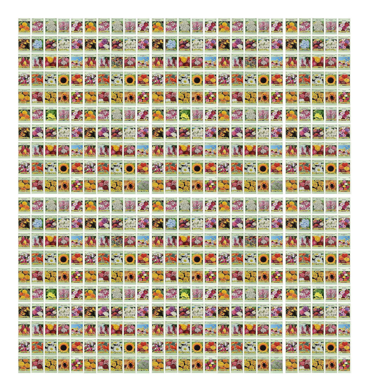 Valley Greene 500 seed packets collection for diverse, colorful borders.