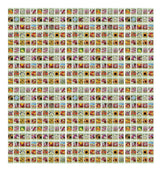 Valley Greene 500 Assorted Flower Seed Packets – 20+ Varieties