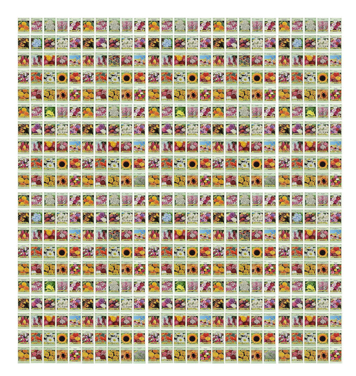 Valley Greene 500 seed packets collection for diverse, colorful borders.