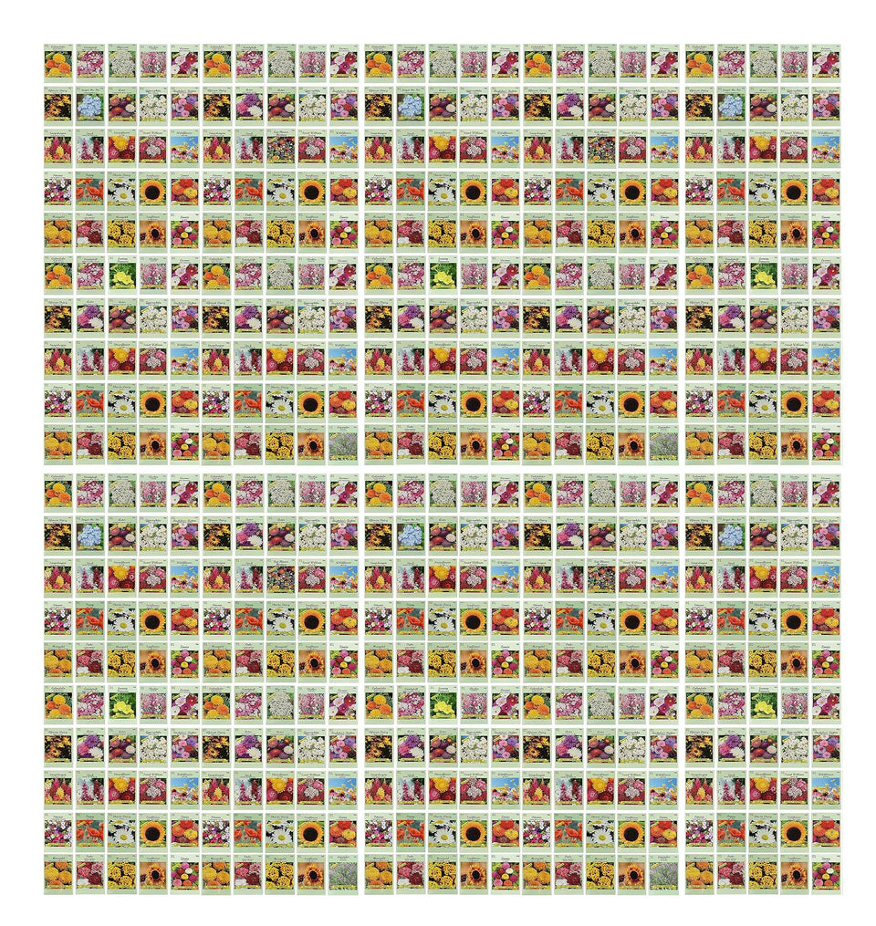 Valley Greene 500 seed packets collection for diverse, colorful borders.